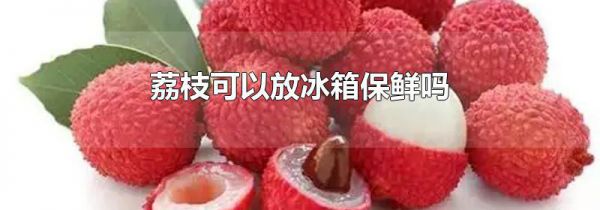 荔枝可以放冰箱保鲜吗