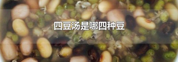四豆汤是哪四种豆