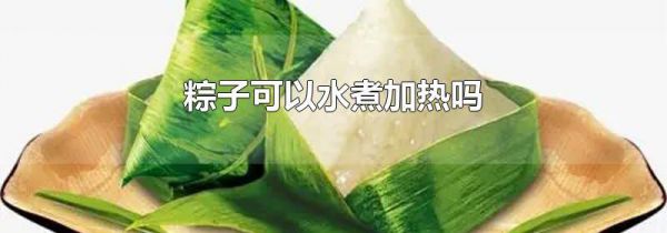 粽子可以水煮加热吗