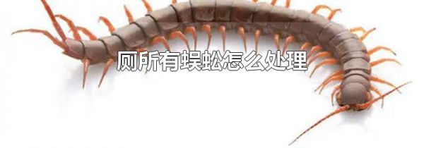 厕所有蜈蚣怎么处理