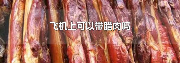 飞机上可以带腊肉吗