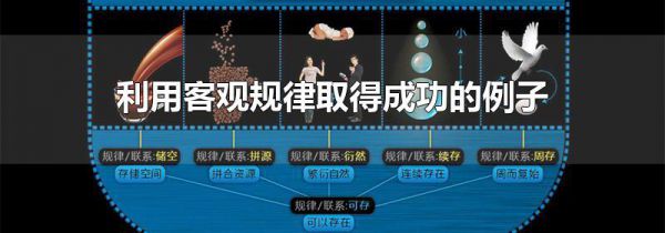 利用客观规律取得成功的例子