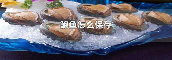 鲍鱼怎么保存