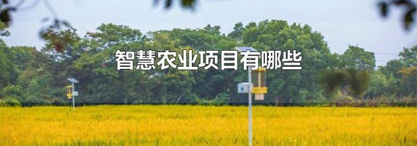 智慧农业项目有哪些