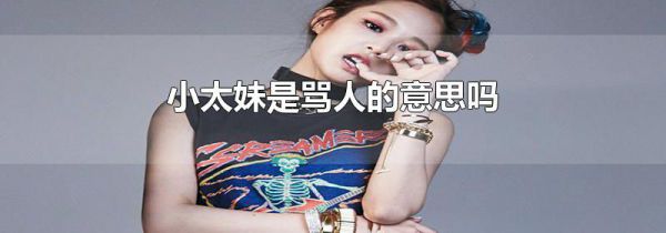 小太妹是骂人的意思吗