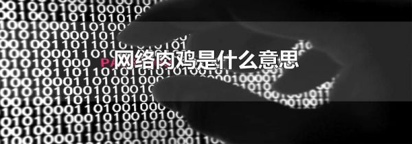 网络肉鸡是什么意思