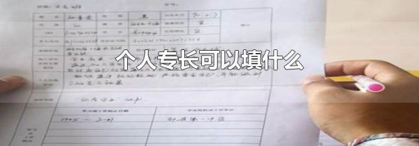 个人专长可以填什么