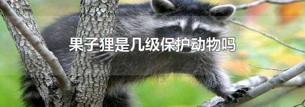 果子狸是几级保护动物吗