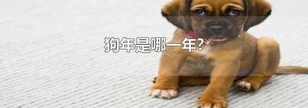 狗年是哪一年?
