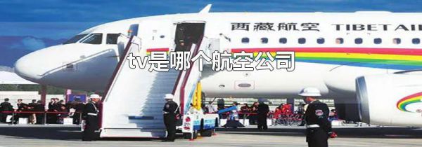 tv是哪个航空公司