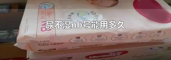 尿不湿nb号能用多久