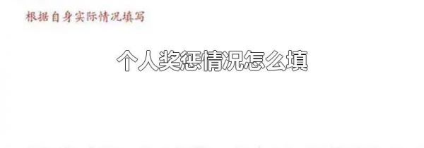 个人奖惩情况怎么填