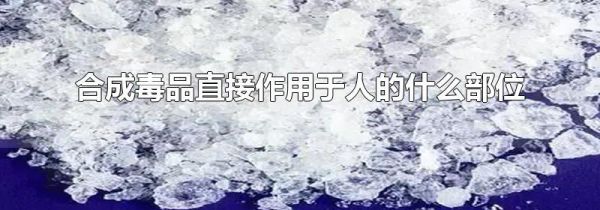 合成毒品直接作用于人的什么部位