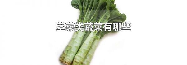 茎菜类蔬菜有哪些