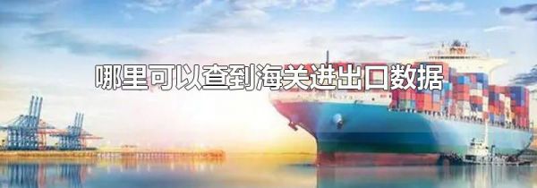 哪里可以查到海关进出口数据
