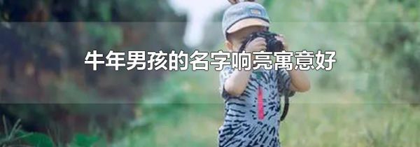 牛年男孩的名字响亮寓意好
