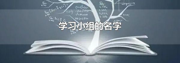 学习小组的名字