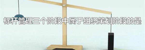 标杆管理三个阶段中属于组织策划阶段的是