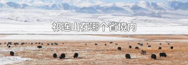 祁连山在哪个省境内