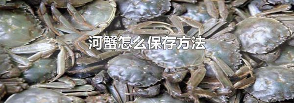河蟹怎么保存方法