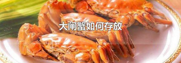 大闸蟹如何存放