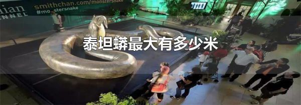 泰坦蟒最大有多少米