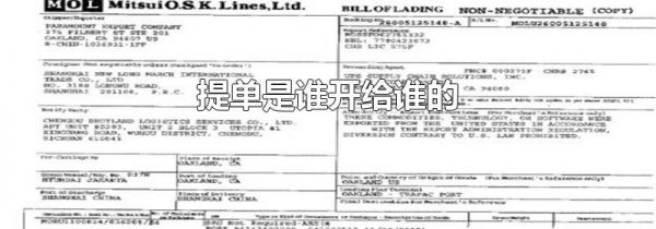 提单是谁开给谁的