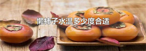 懒柿子水温多少度合适