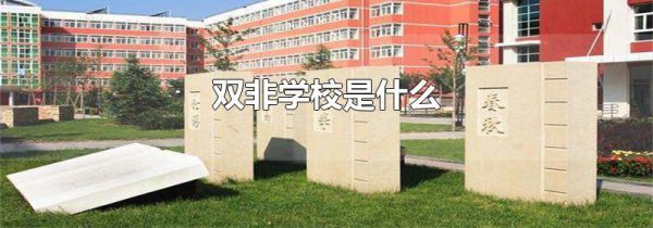 双非学校是什么