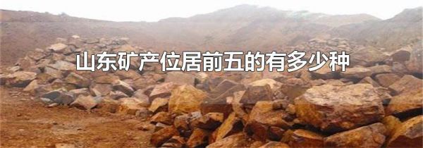 山东矿产位居前五的有多少种
