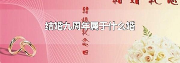 结婚九周年属于什么婚