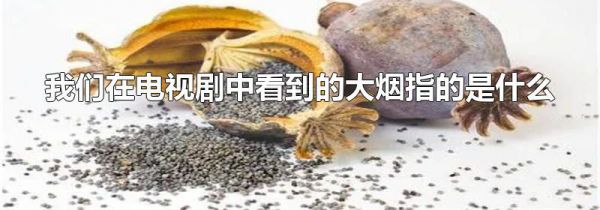 我们在电视剧中看到的大烟指的是什么