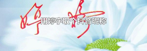 用婷字取个抖音昵称