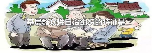 基层群众性自治组织的特征是