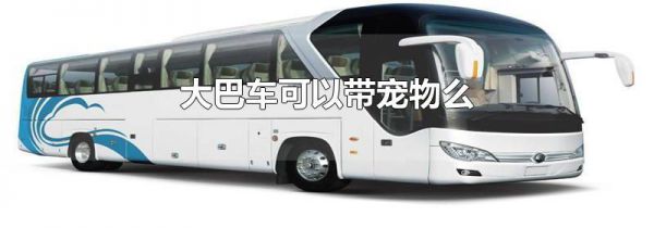 大巴车可以带宠物么