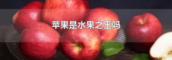 苹果是水果之王吗