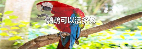 鹦鹉可以活多久
