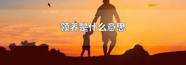 领养是什么意思