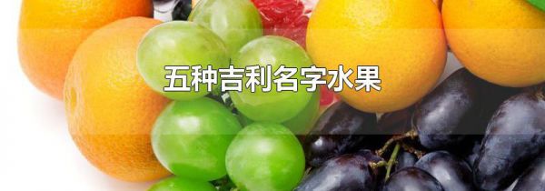 五种吉利名字水果
