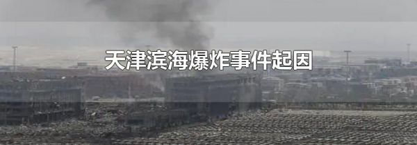 天津滨海爆炸事件起因