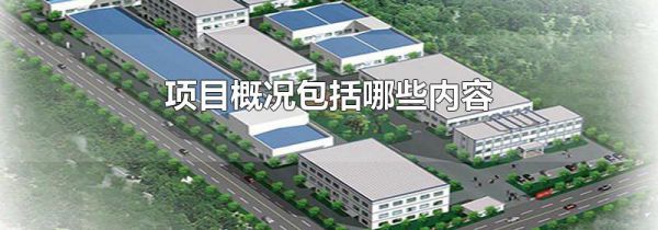 项目概况包括哪些内容