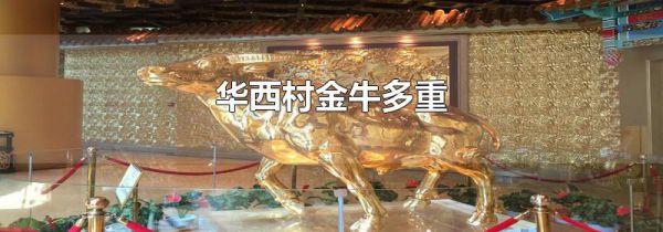华西村金牛多重