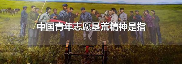 中国青年志愿垦荒精神是指