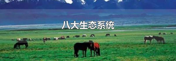 八大生态系统