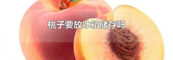 桃子要放冰箱储存吗