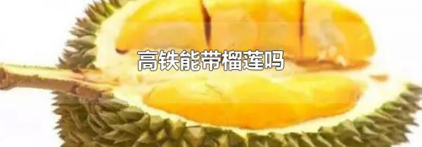 高铁能带榴莲吗
