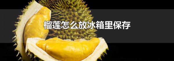 榴莲怎么放冰箱里保存