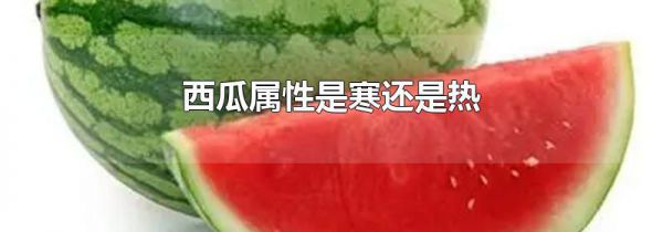 西瓜属性是寒还是热