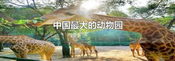 中国最大的动物园