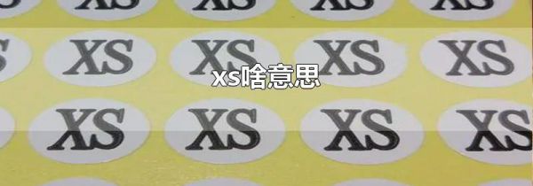 xs啥意思